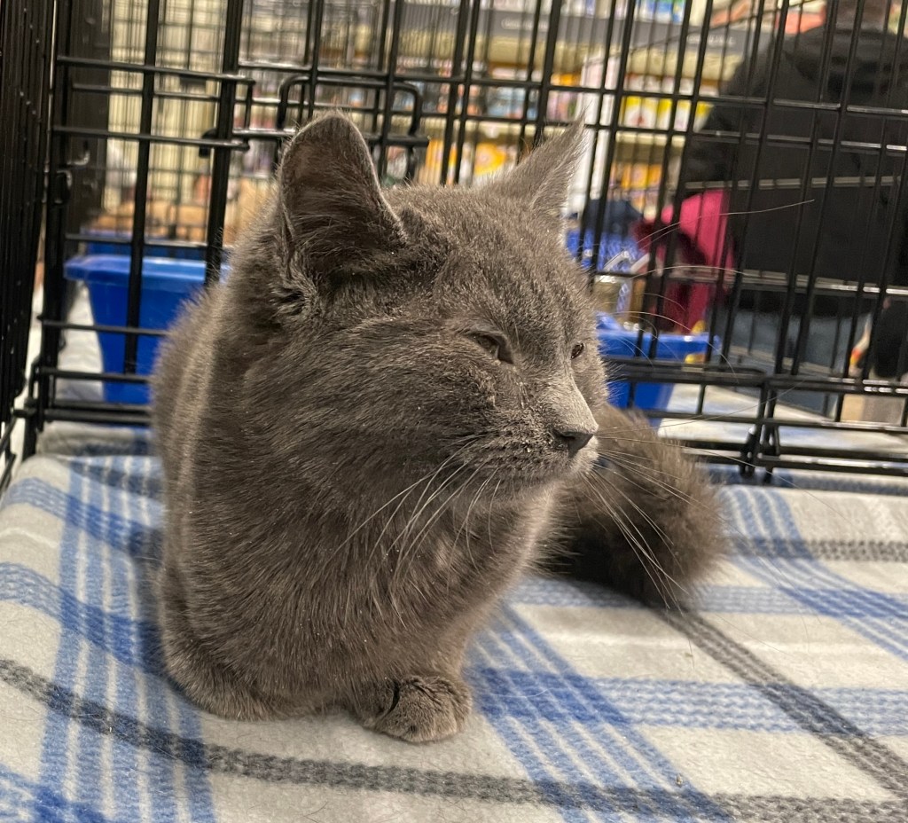 We will be at PetSmart today, 3/11/23