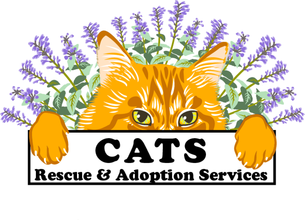 Cats Rescue and Adoption Services